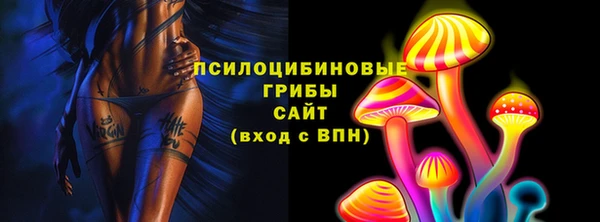 2c-b Елабуга