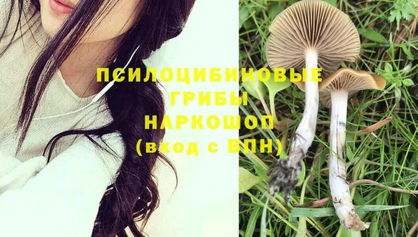 спайс Ельня