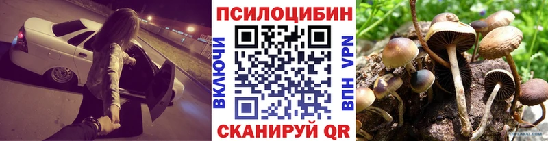 Галлюциногенные грибы Psilocybe  Пролетарск 
