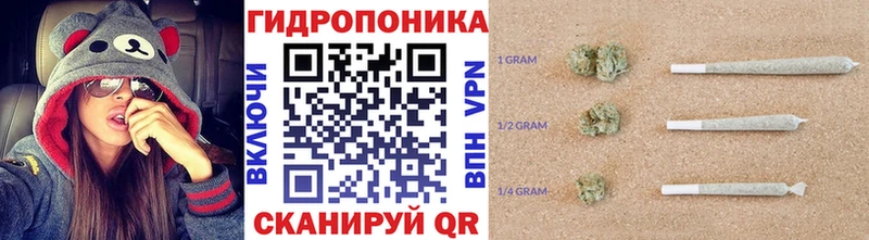Каннабис ГИДРОПОН  Пролетарск 